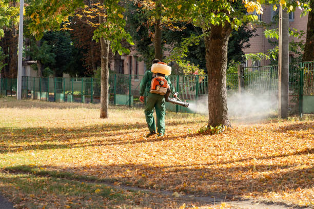 Best Wasp Removal Services  in Brookdale, NJ