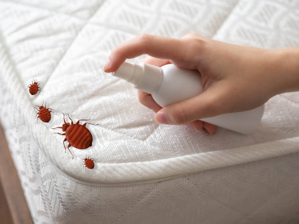 Best Pest Control Near Me  in Brookdale, NJ