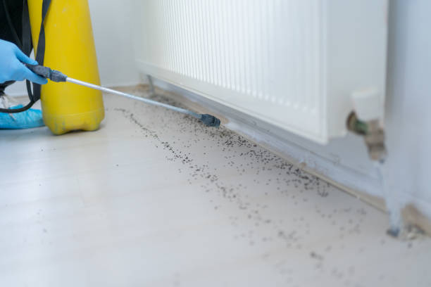 Best Mosquito Control Services  in Brookdale, NJ
