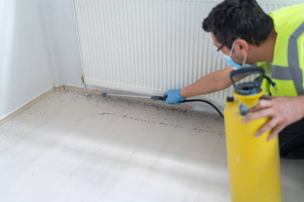 Best Pest Control Near Me  in Brookdale, NJ